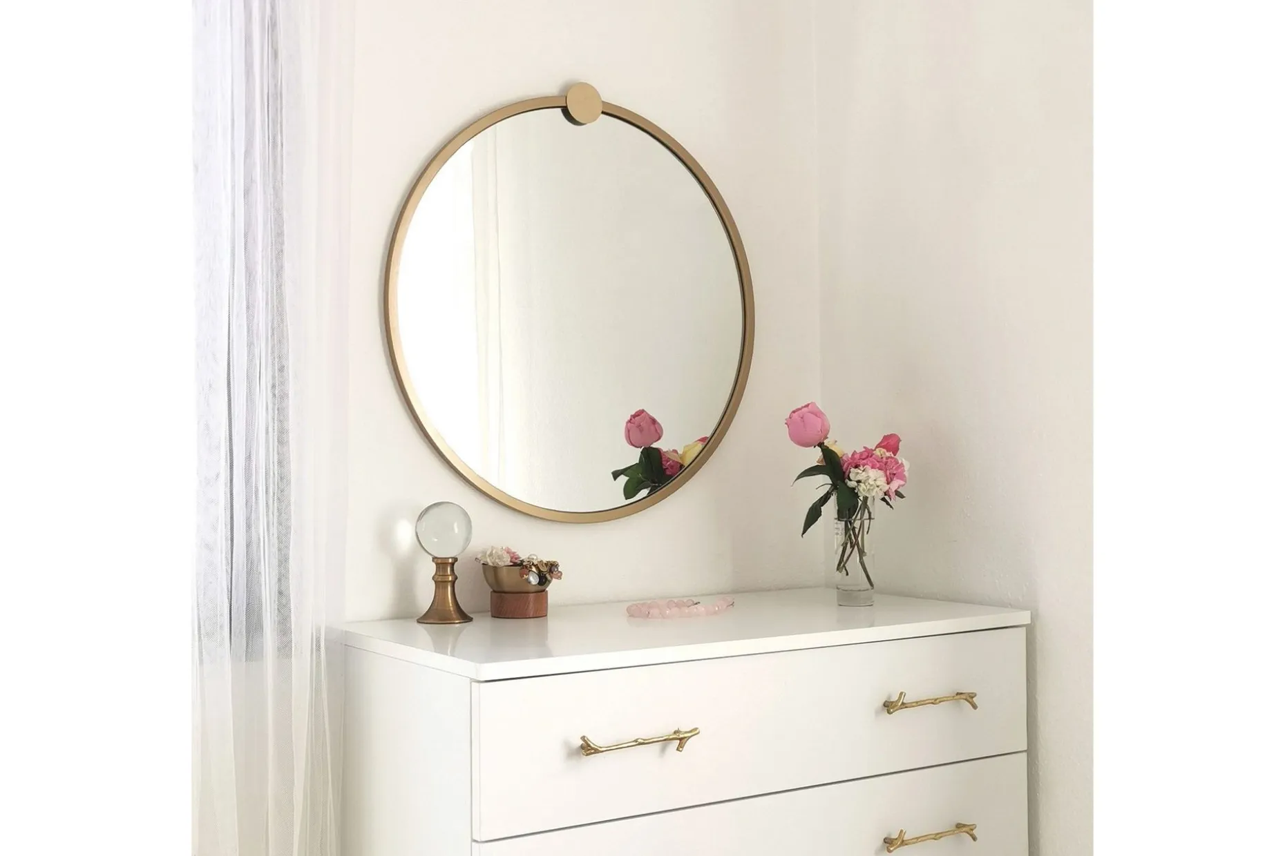 Mirror Gull