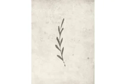 Poster Autumn leaf 50x70 cm