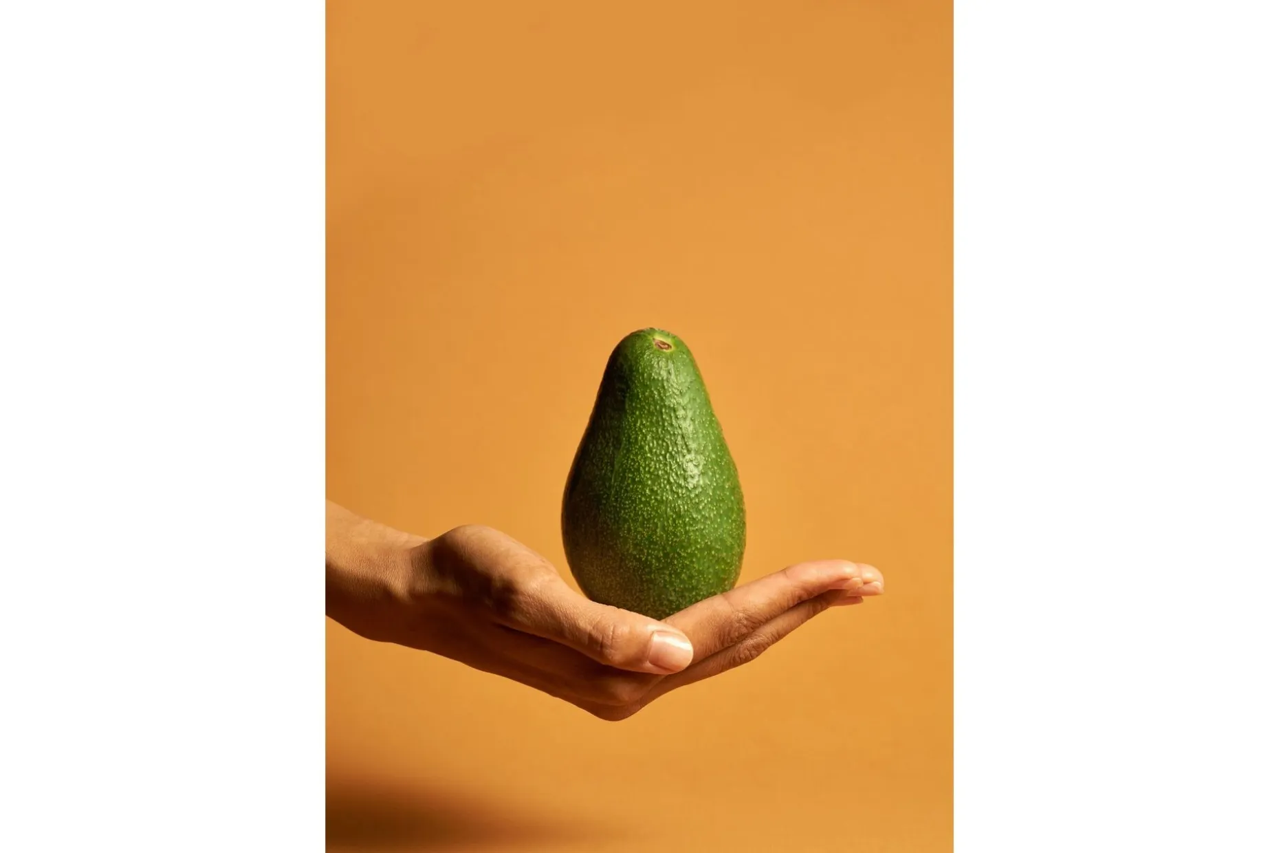 Poster Avocado 70x100 cm