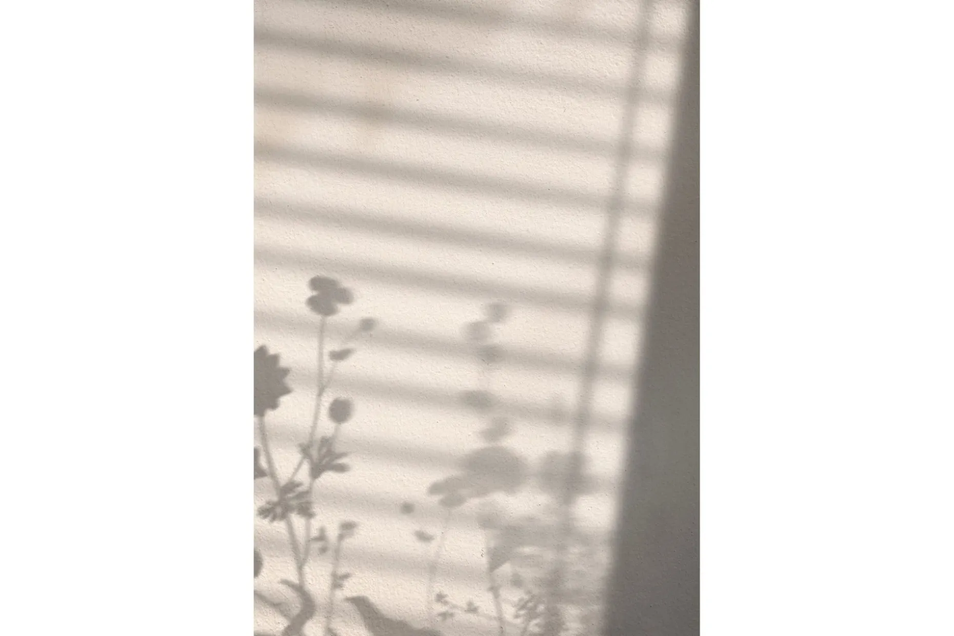 Poster Flower Shadow 30x40 cm