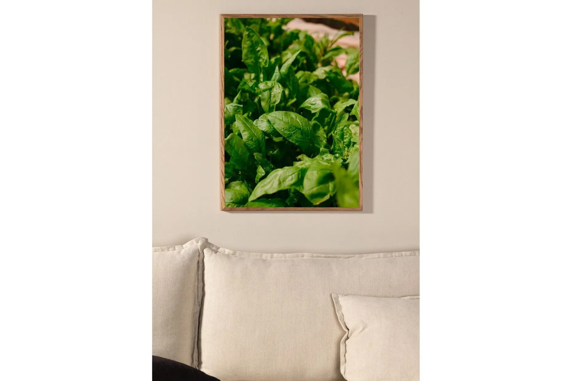 Poster Green leaf 21x30 cm