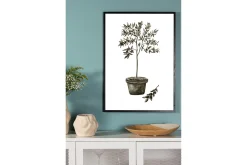 Poster Olive 30x40 cm