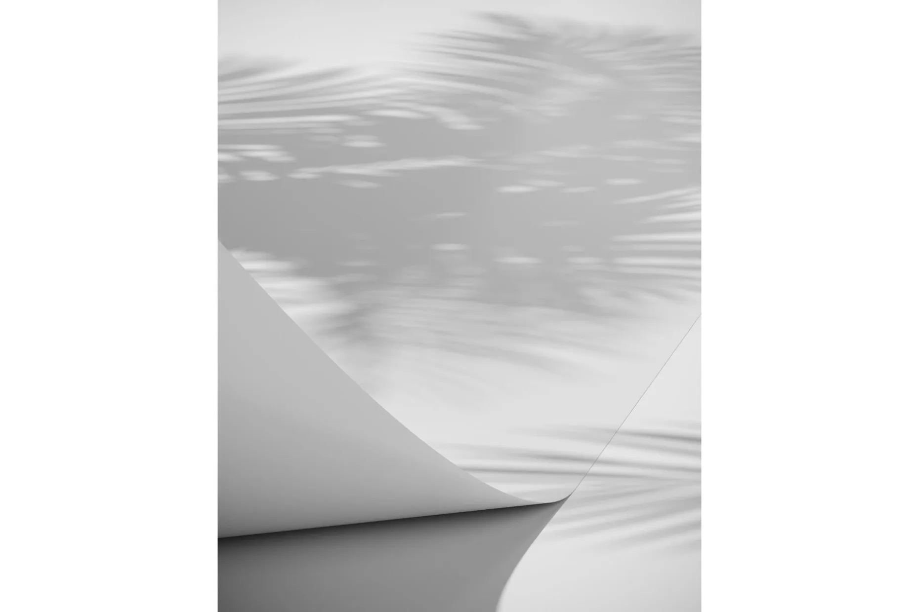 Poster Papyrus 30x40 cm