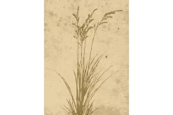 Poster Plant art 21x30 cm