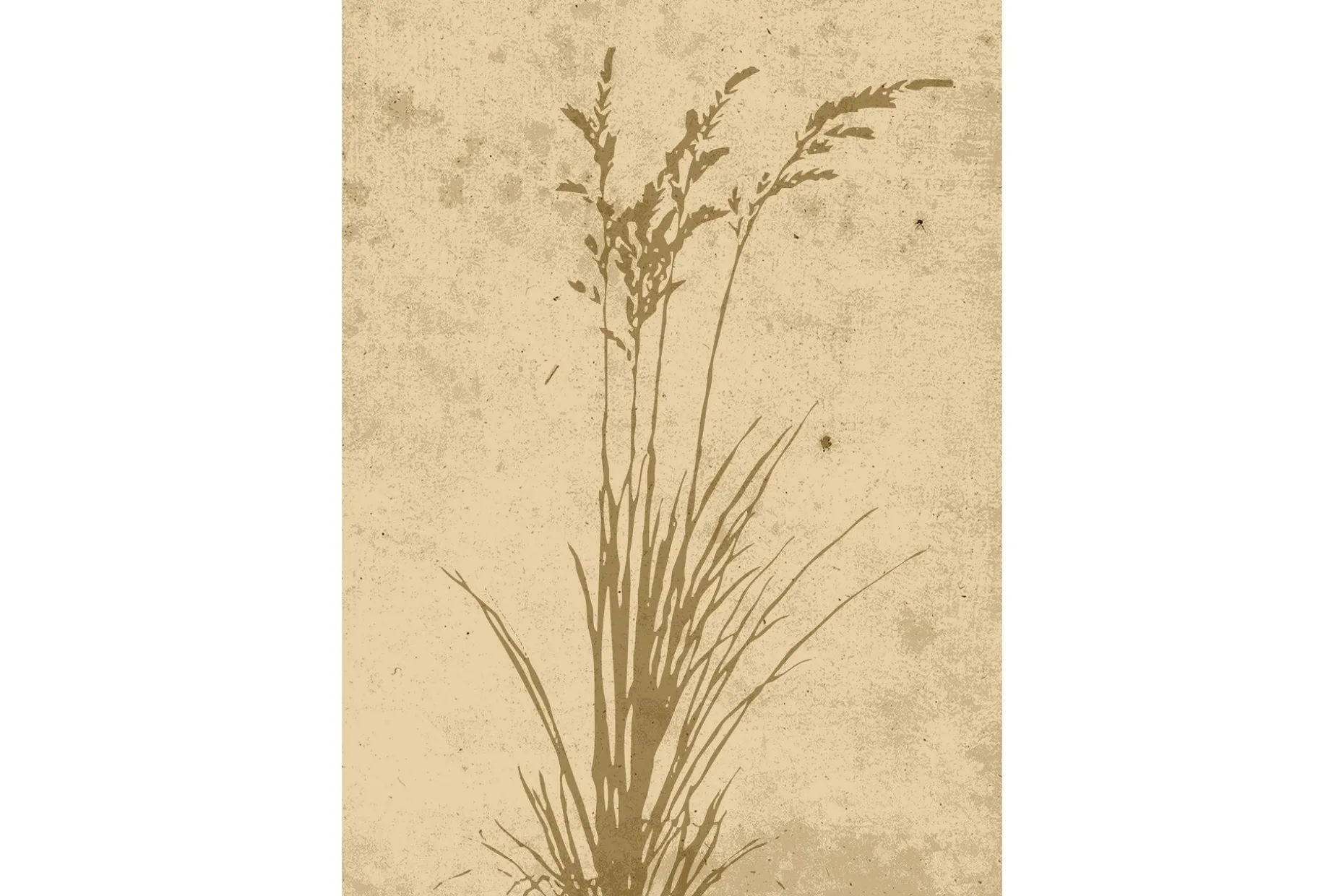 Poster Plant art 21x30 cm