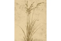 Poster Plant art 30x40 cm