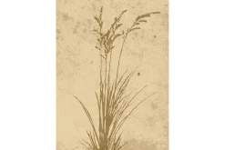 Poster Plant art 50x70 cm