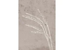Poster Seeds 50x70 cm