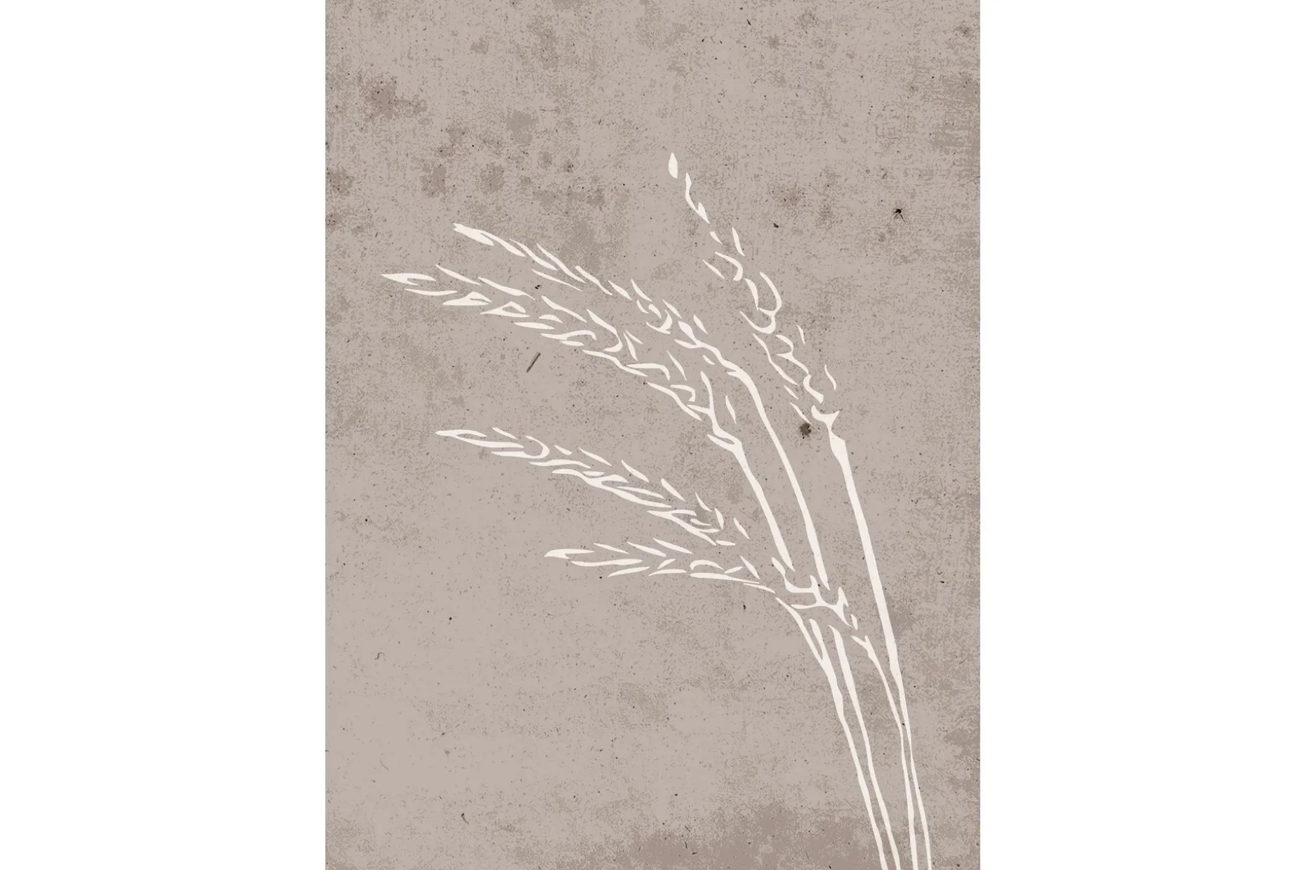 Poster Seeds 50x70 cm