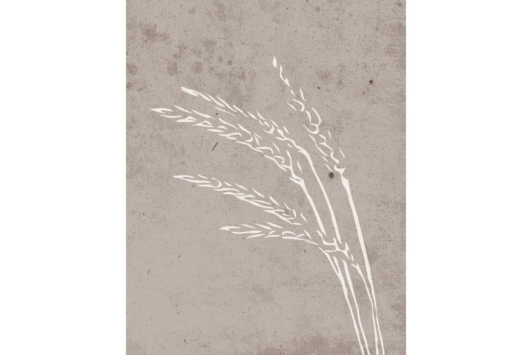Poster Seeds 30x40 cm