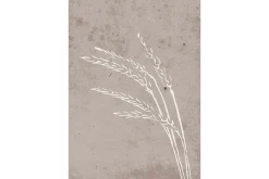 Poster Seeds 21x30 cm