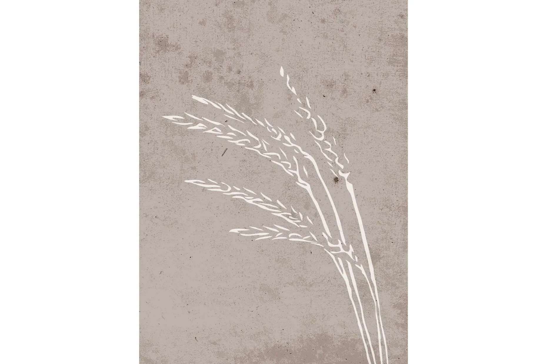 Poster Seeds 21x30 cm