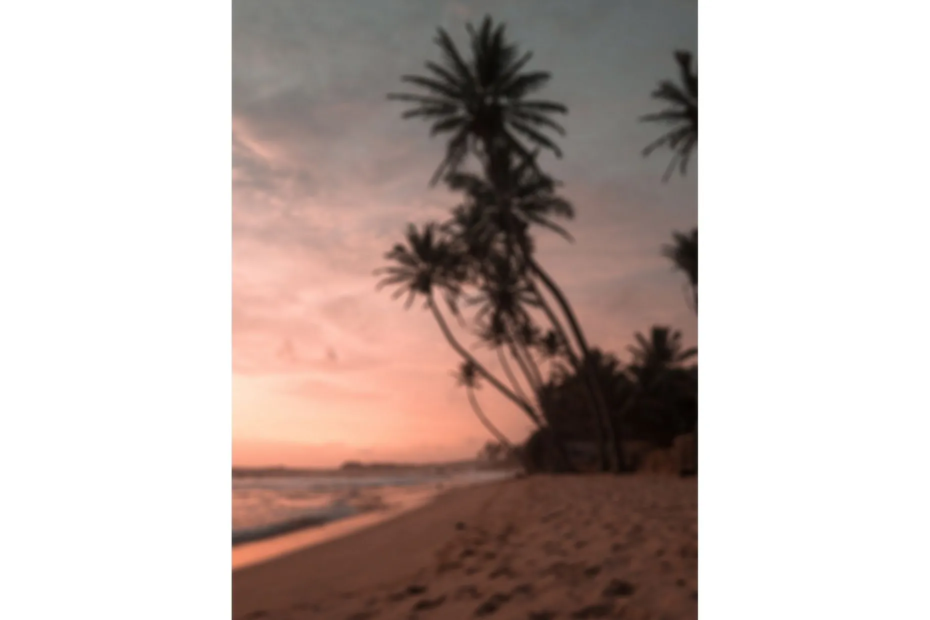 Poster Summer 50x70 cm