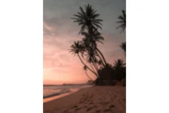 Poster Summer 21x30 cm
