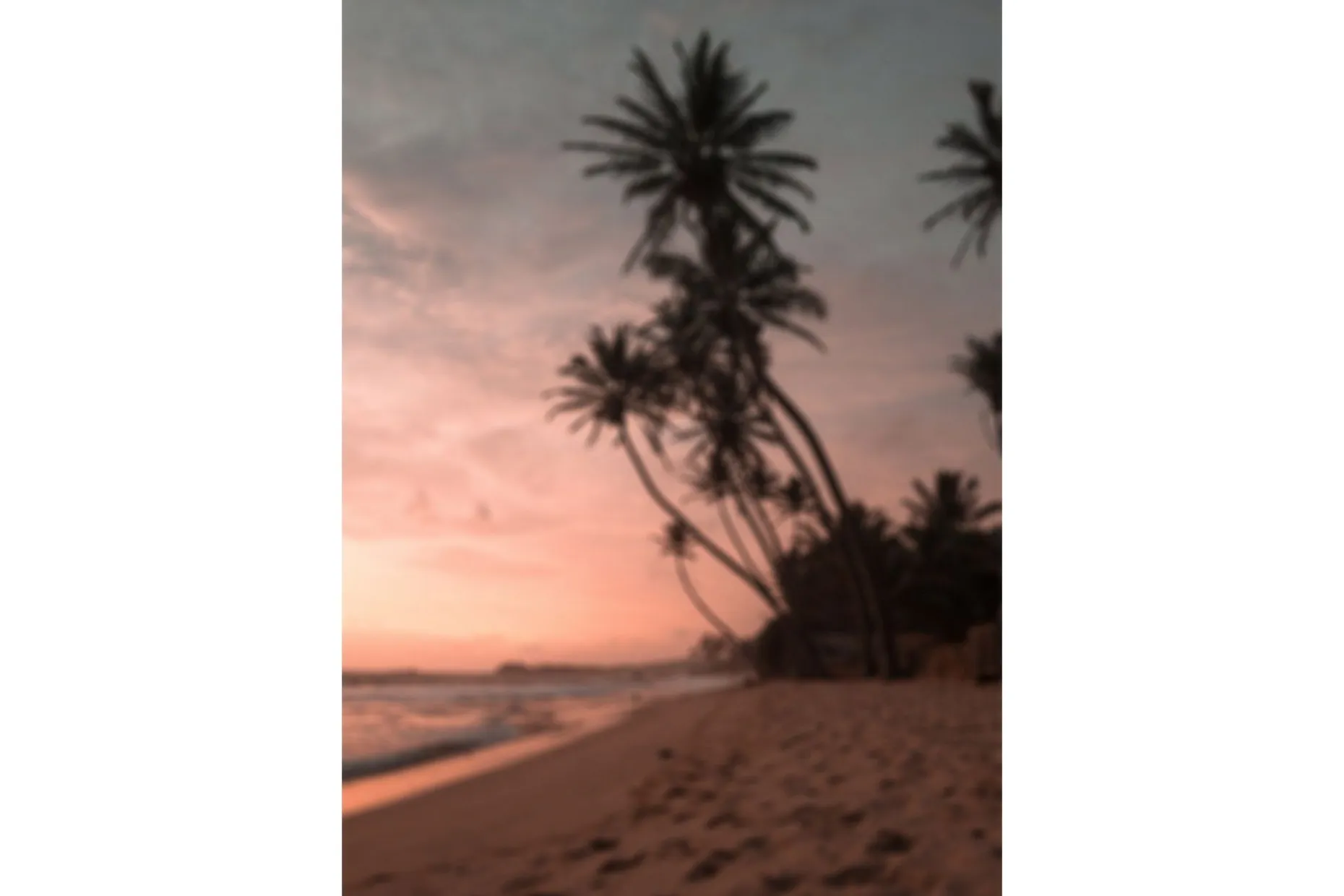 Poster Summer 70x100 cm