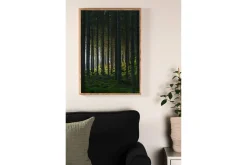 Poster Woods 50x70 cm