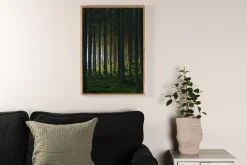 Poster Woods 50x70 cm