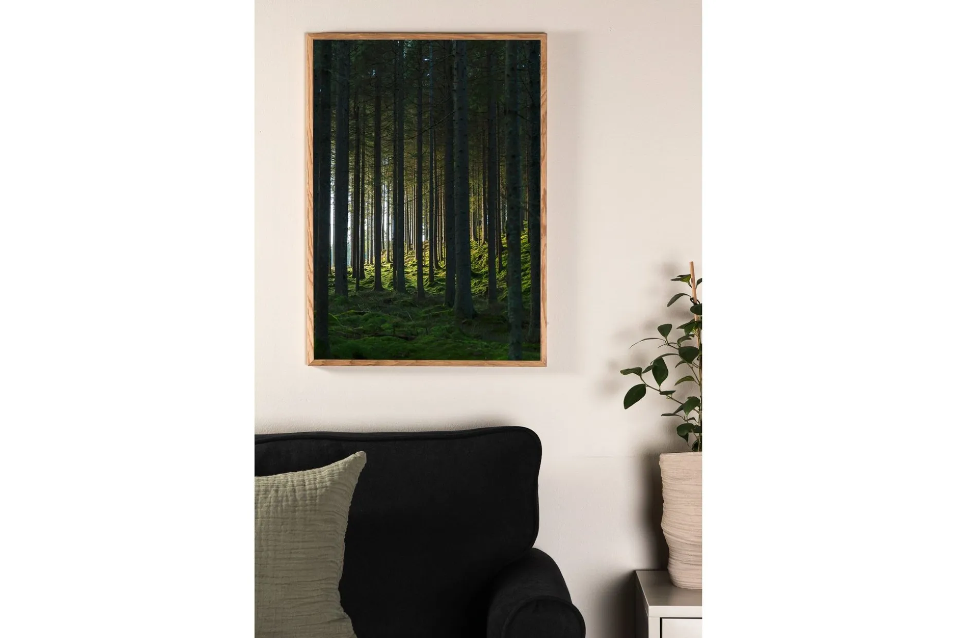 Poster Woods 21x30 cm