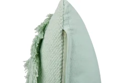 Pynteputer Bacopa