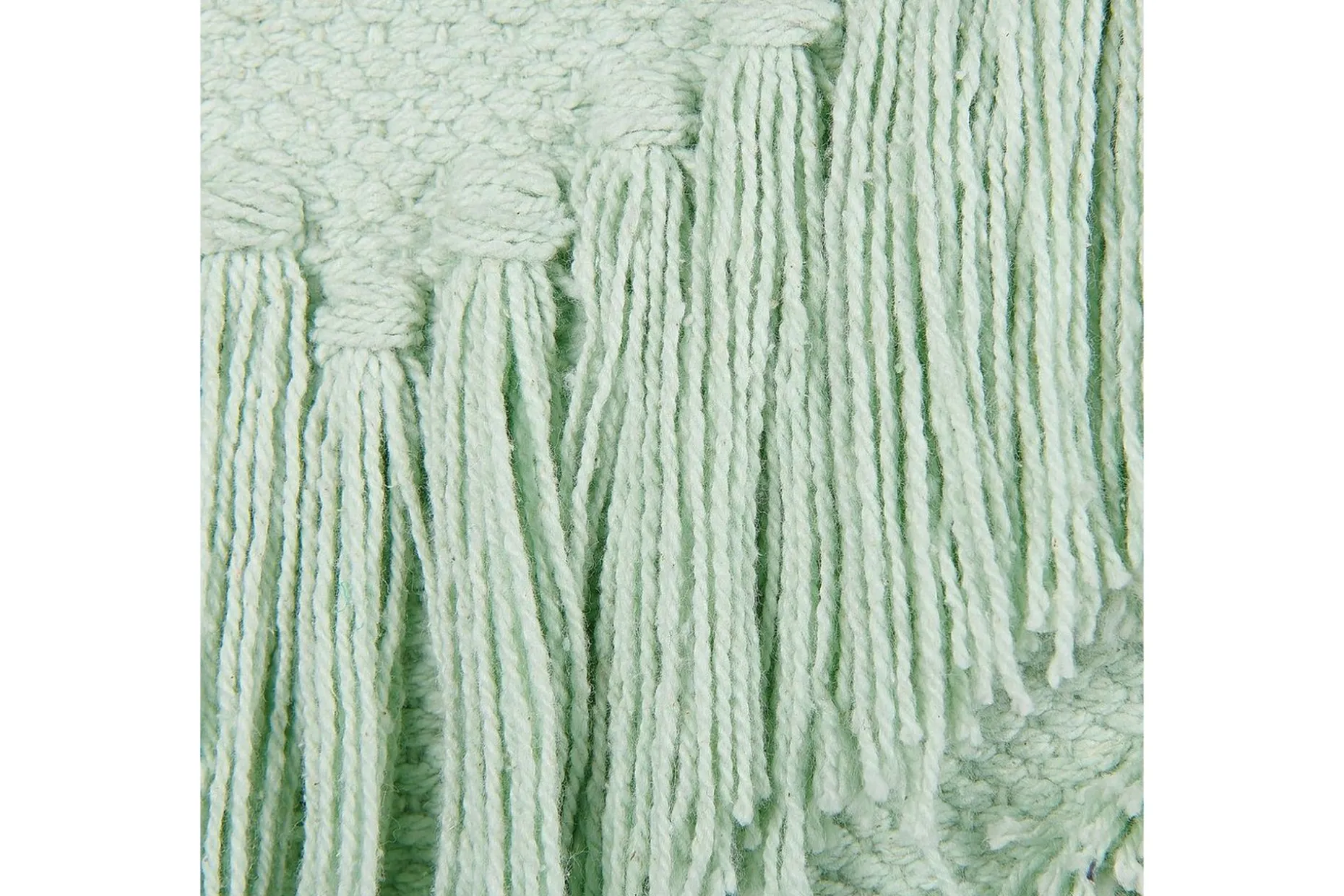 Pynteputer Bacopa