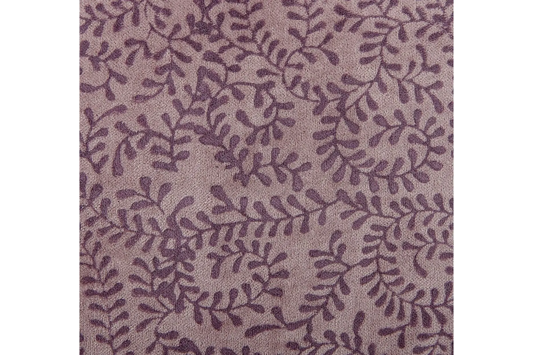 Pynteputer Kalmia