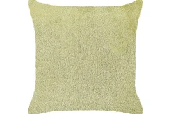 Pynteputer Pilea Grønn