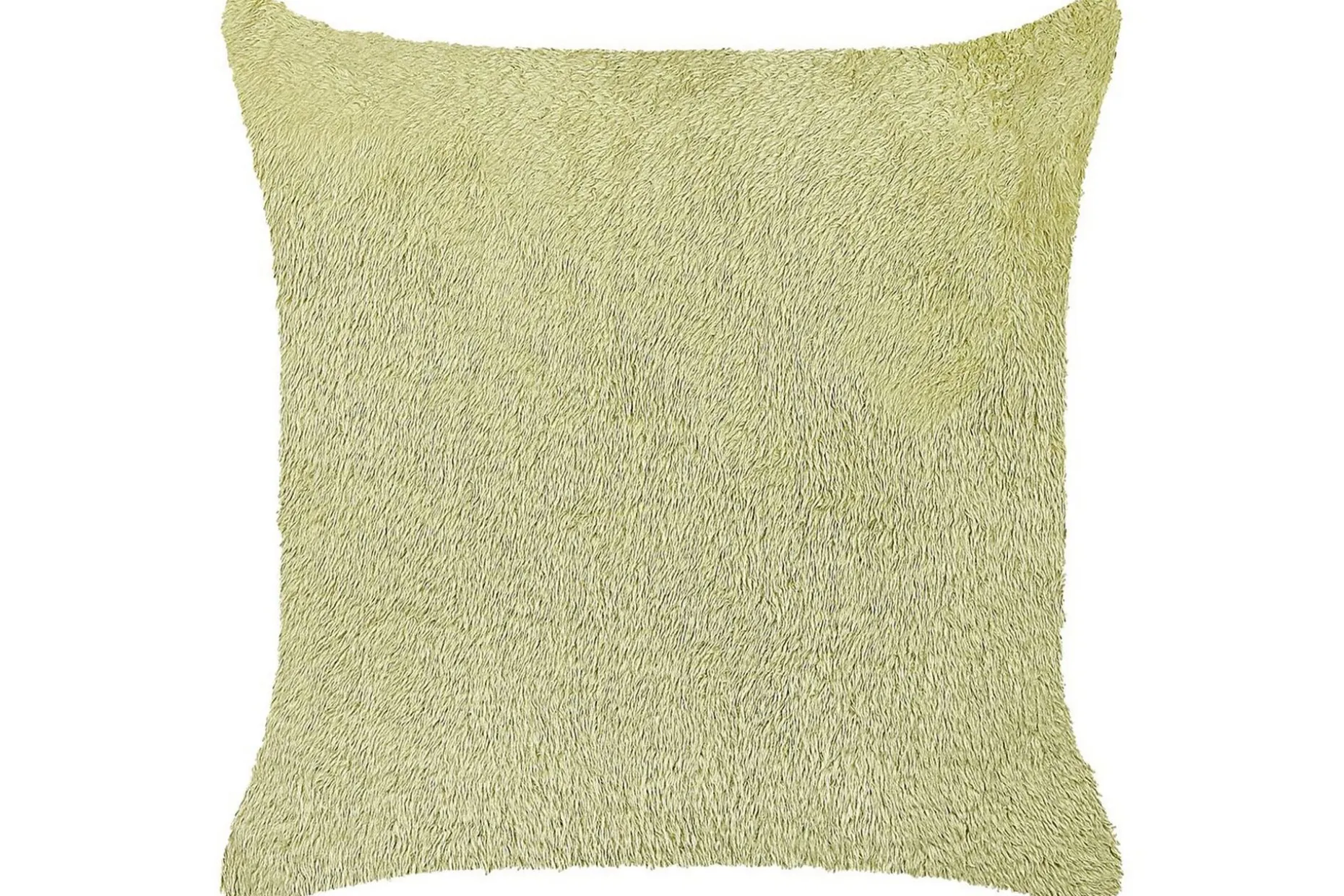 Pynteputer Pilea Grønn