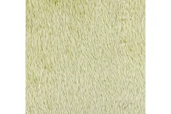 Pynteputer Pilea Grønn