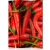Romdeler Chili Pepper - Background