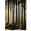Romdeler Coniferous Forest