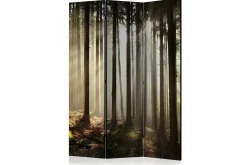 Romdeler Coniferous Forest