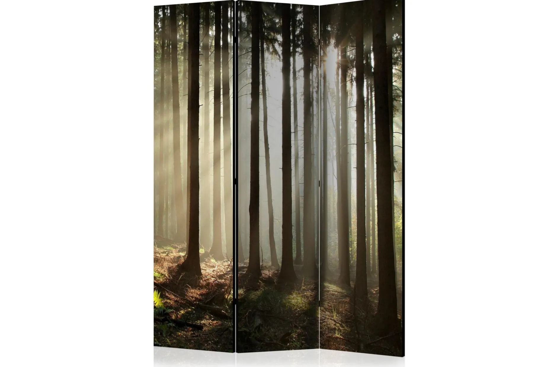 Romdeler Coniferous Forest