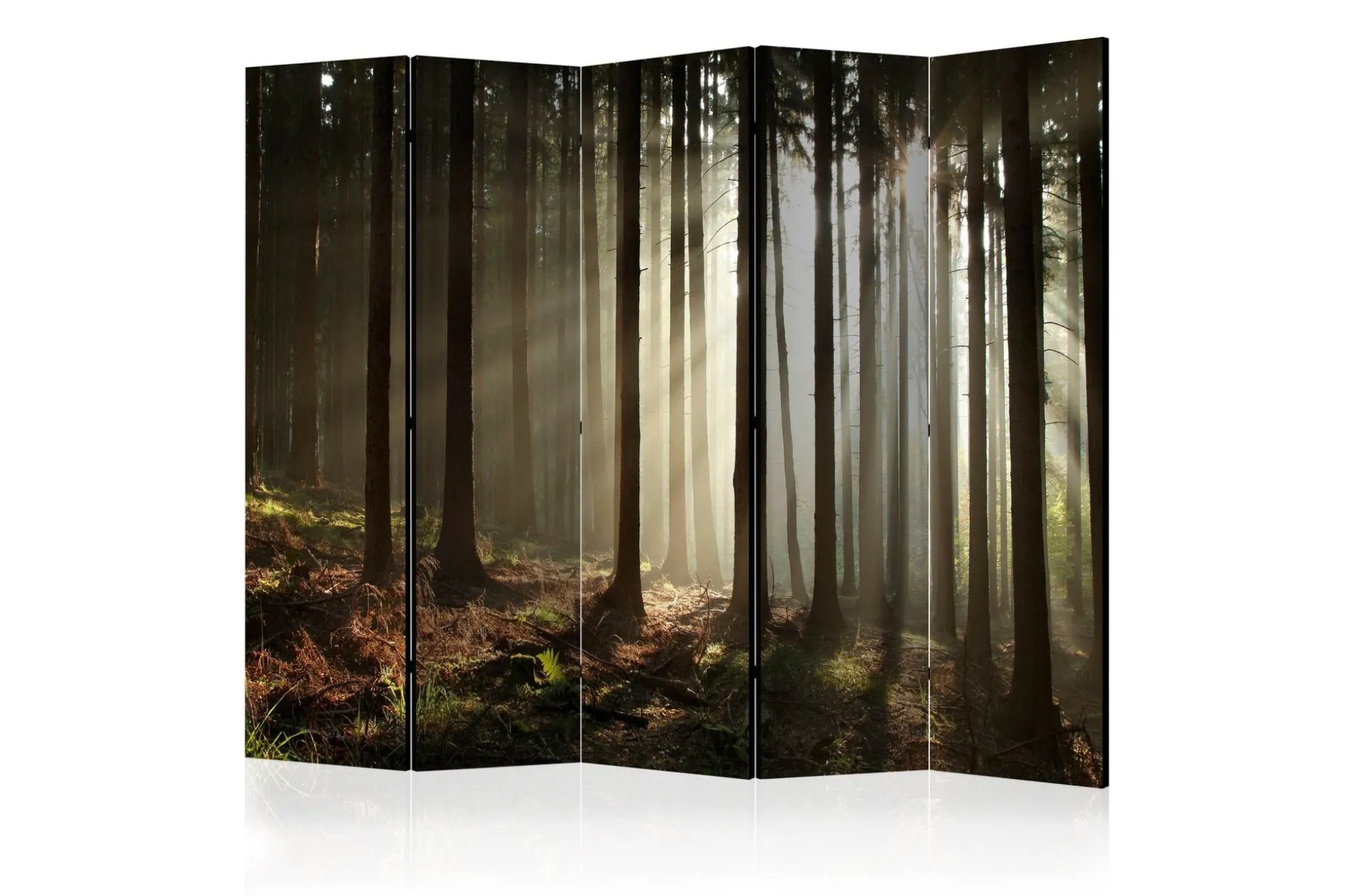 Romdeler Coniferous Forest II