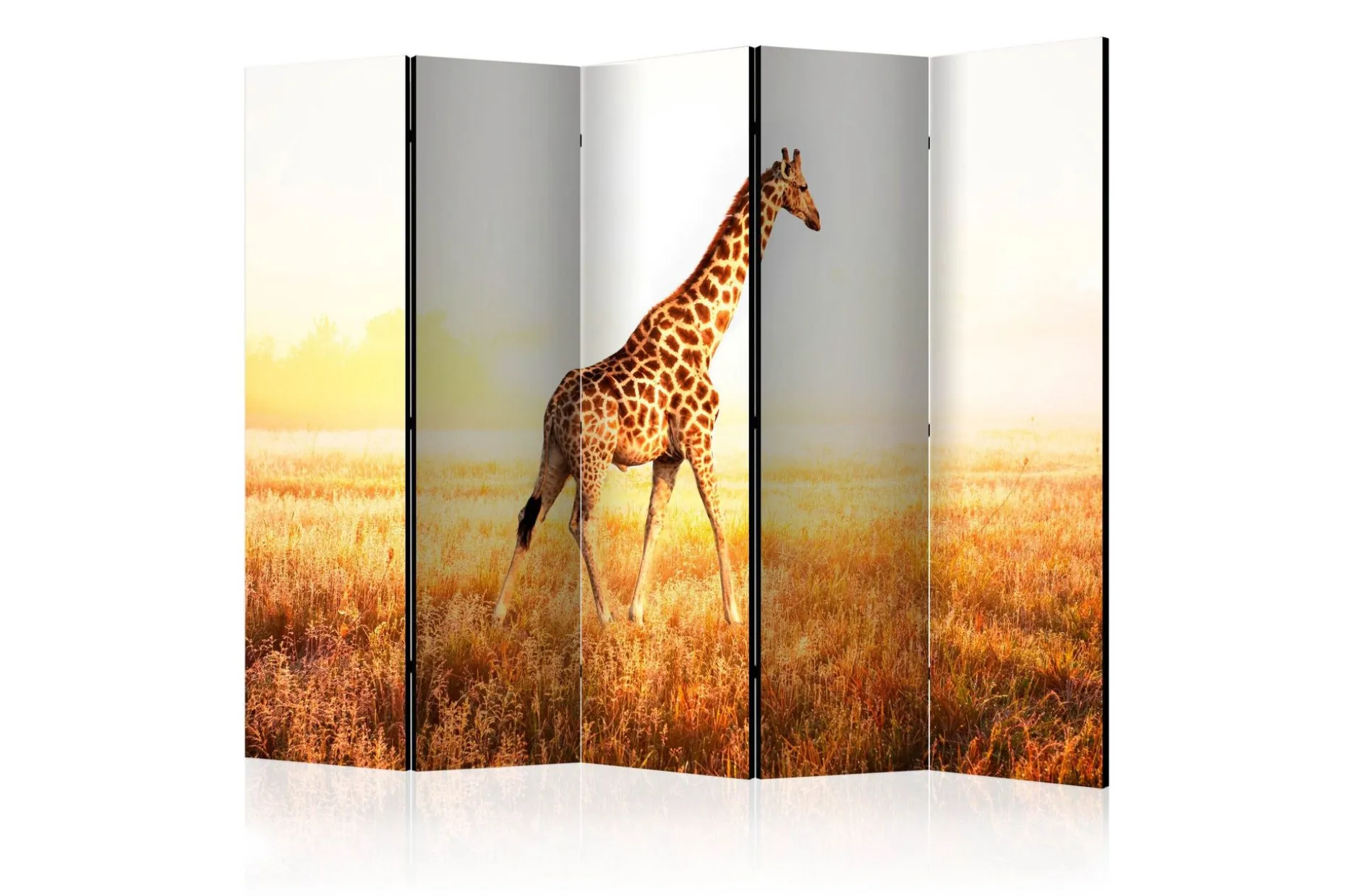 Romdeler Giraffe - Walk II