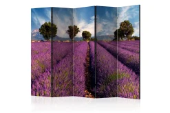 Romdeler Lavender Field in Provence, France II