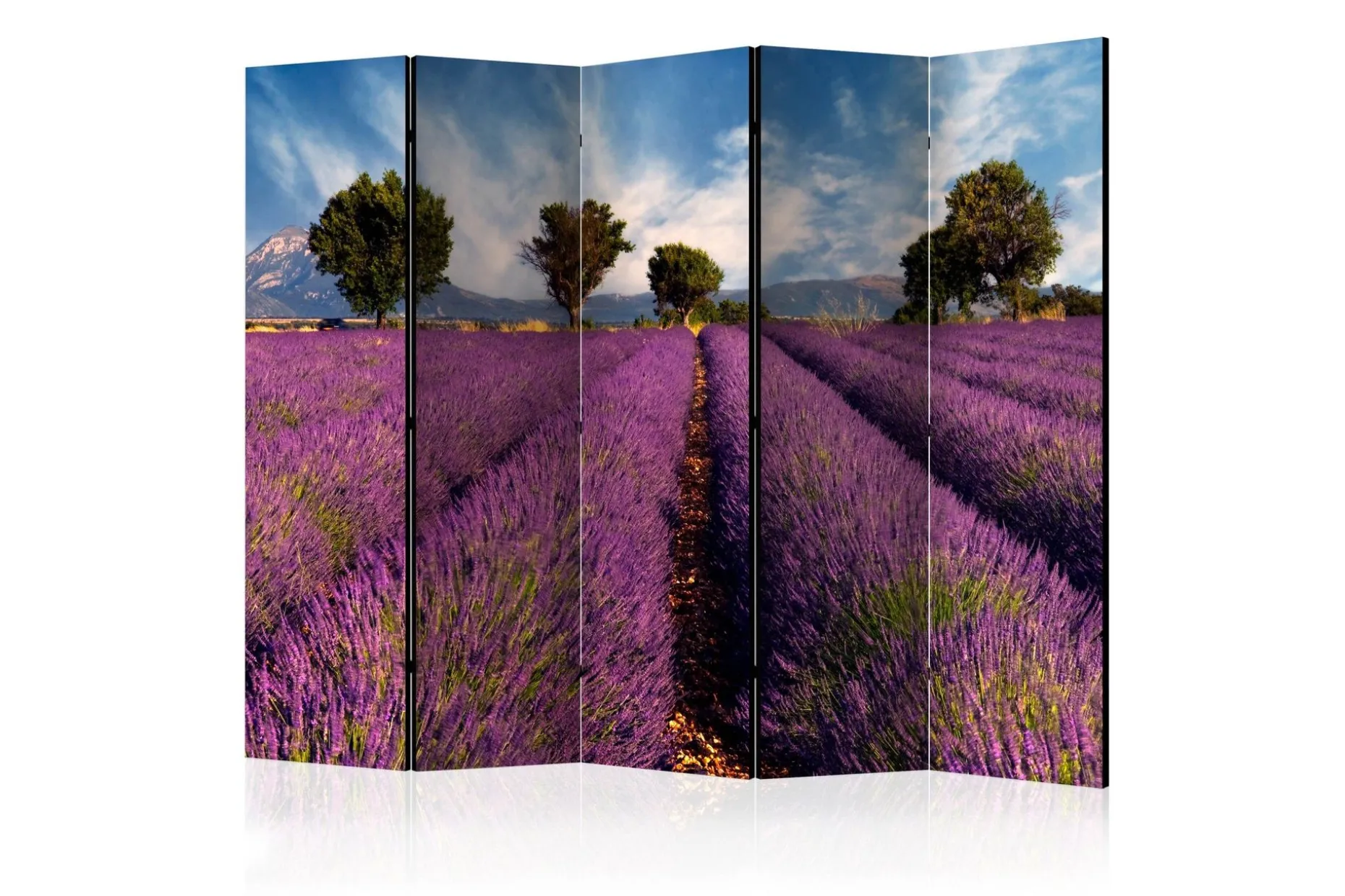 Romdeler Lavender Field in Provence, France II