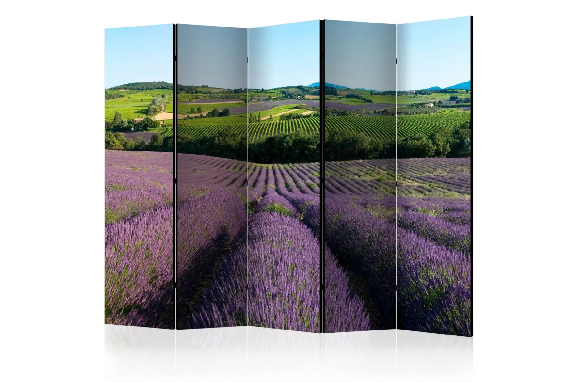Romdeler Lavender Fields II