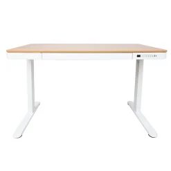 Skrivebord HOME4YOU Ergo med 1 motor 120x60x72-121 cm eik/hvit