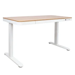 Skrivebord HOME4YOU Ergo med 1 motor 120x60x72-121 cm eik/hvit