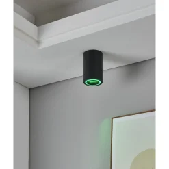 Spotlight Carosso