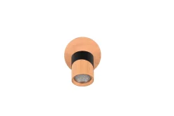 Trio Lighting Aruni Spotlight 1L GU10 tre/matt svart