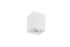 Trio Lighting Biscuit plafond GU10 matt hvit