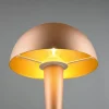 Trio Lighting Canaria bordlampe E14 (inkl.) kaffe brun