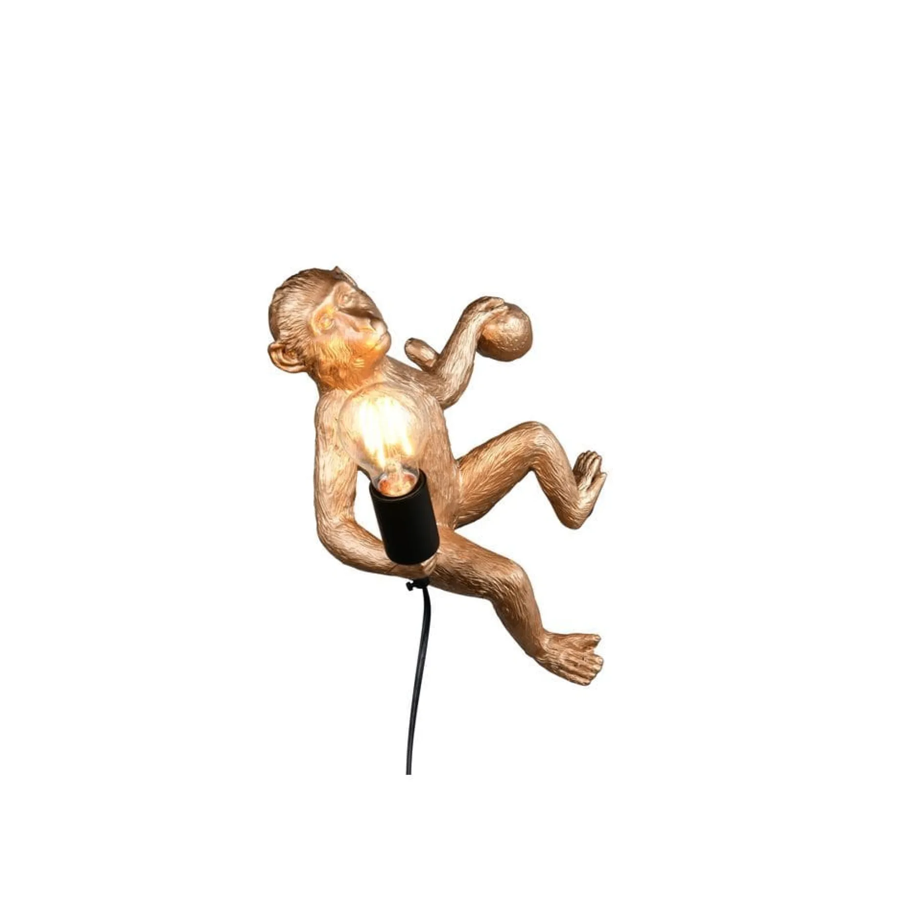 Vegglampe TRIO Louy