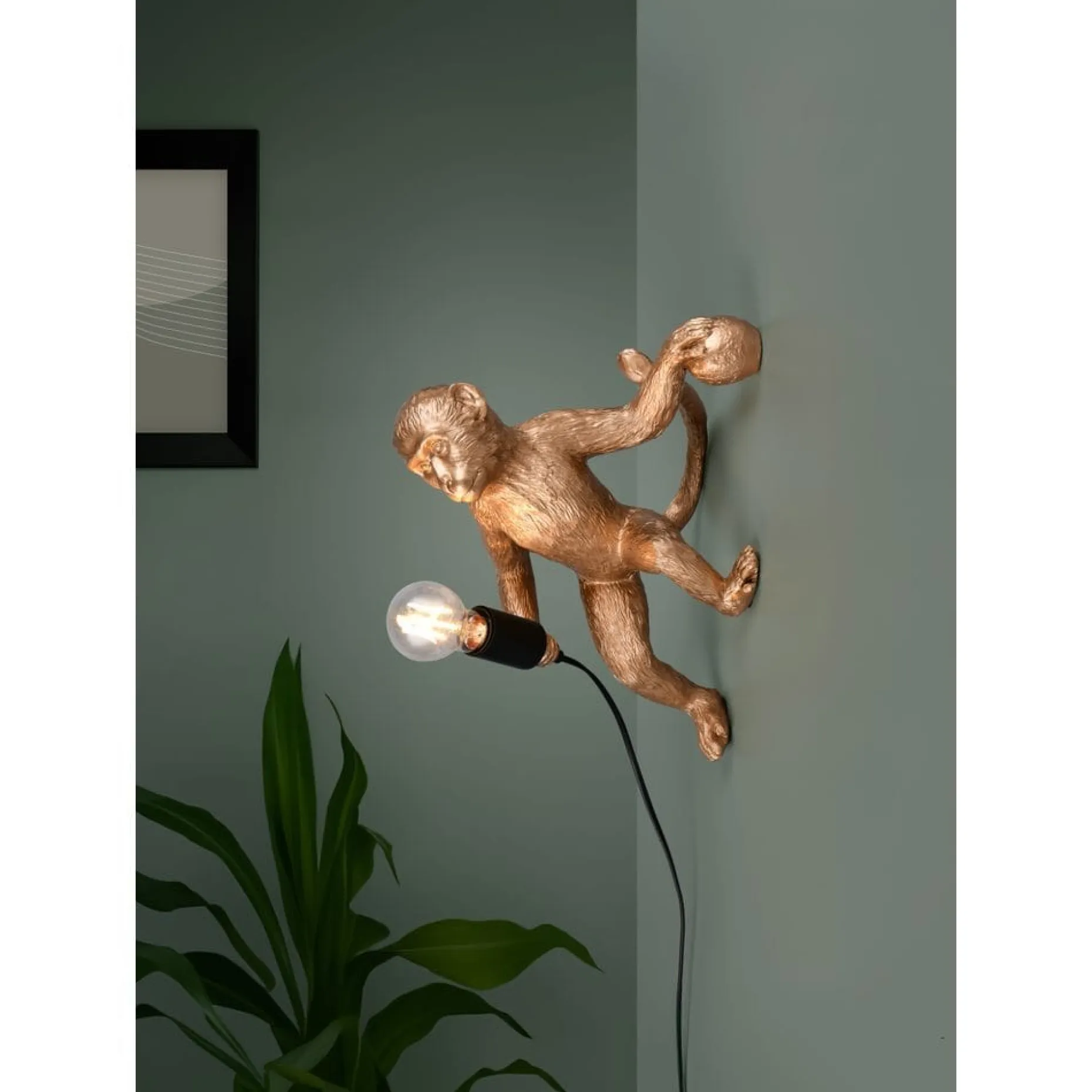 Vegglampe TRIO Louy