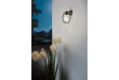 Vegglampe Utendørs Eglo Canove